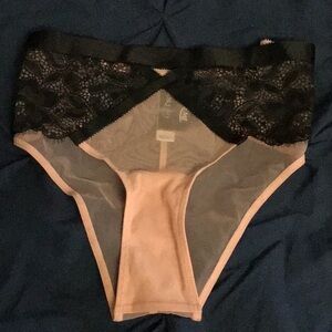 Black Lace and Nude Sheer Panties